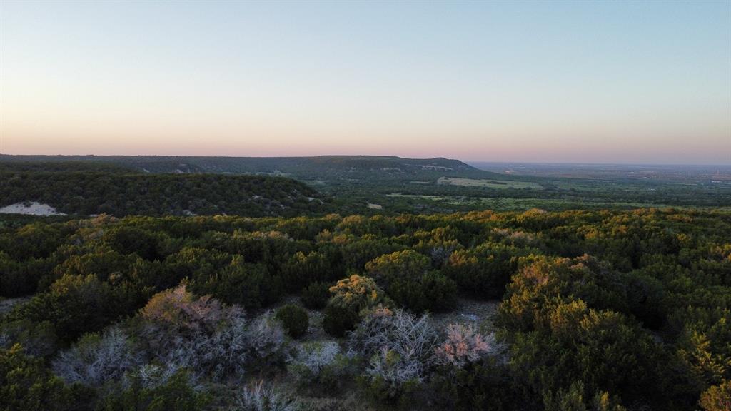 Tbd Old Coleman Property Photo 37
