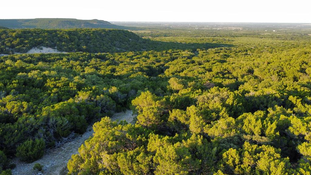 Tbd Old Coleman Property Photo 38