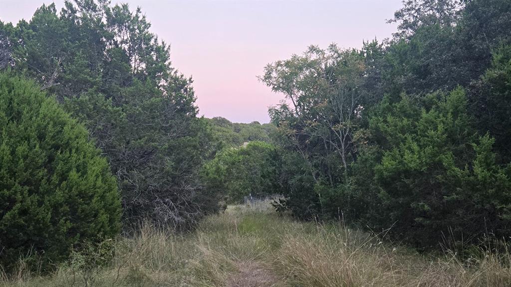 Tbd Old Coleman Property Photo 39