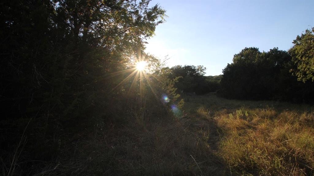 Tbd Old Coleman Property Photo 40