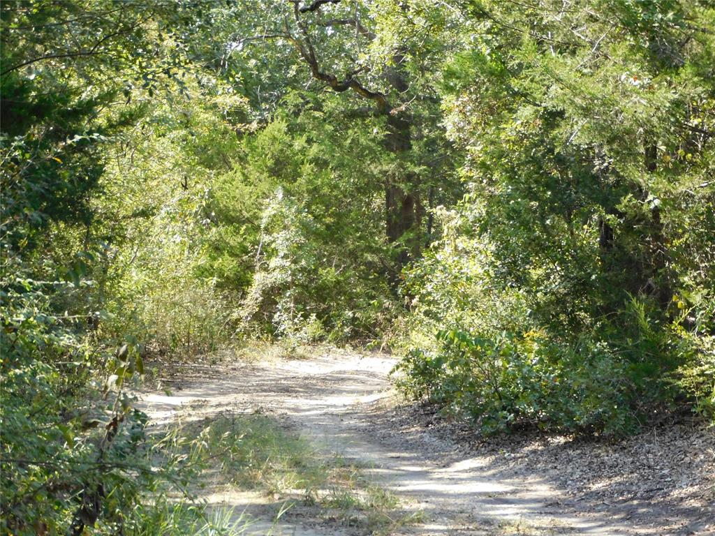 451 Hcr3335 Road Property Photo 2