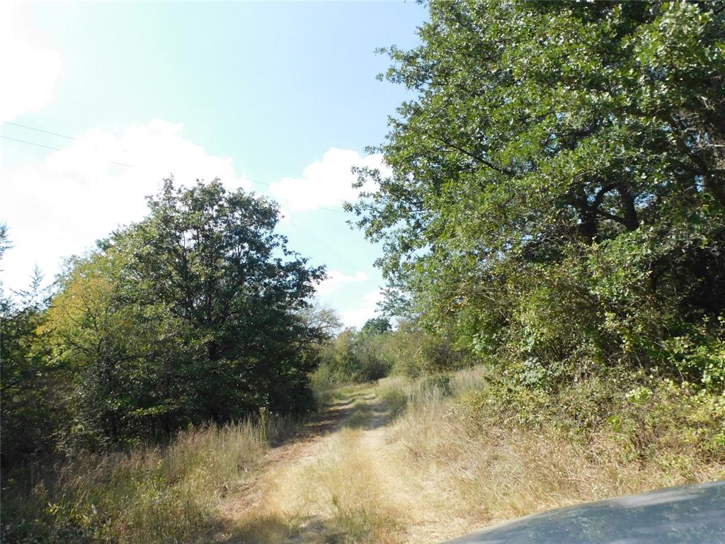 451 Hcr3335 Road Property Photo 3