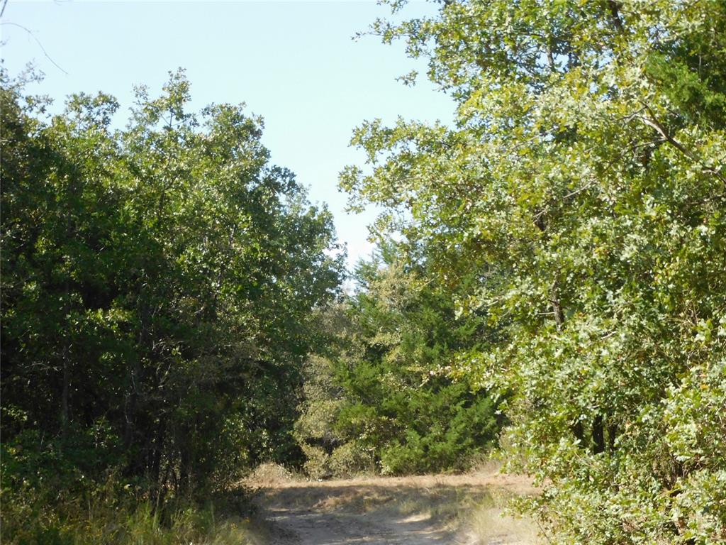 451 Hcr3335 Road Property Photo 5