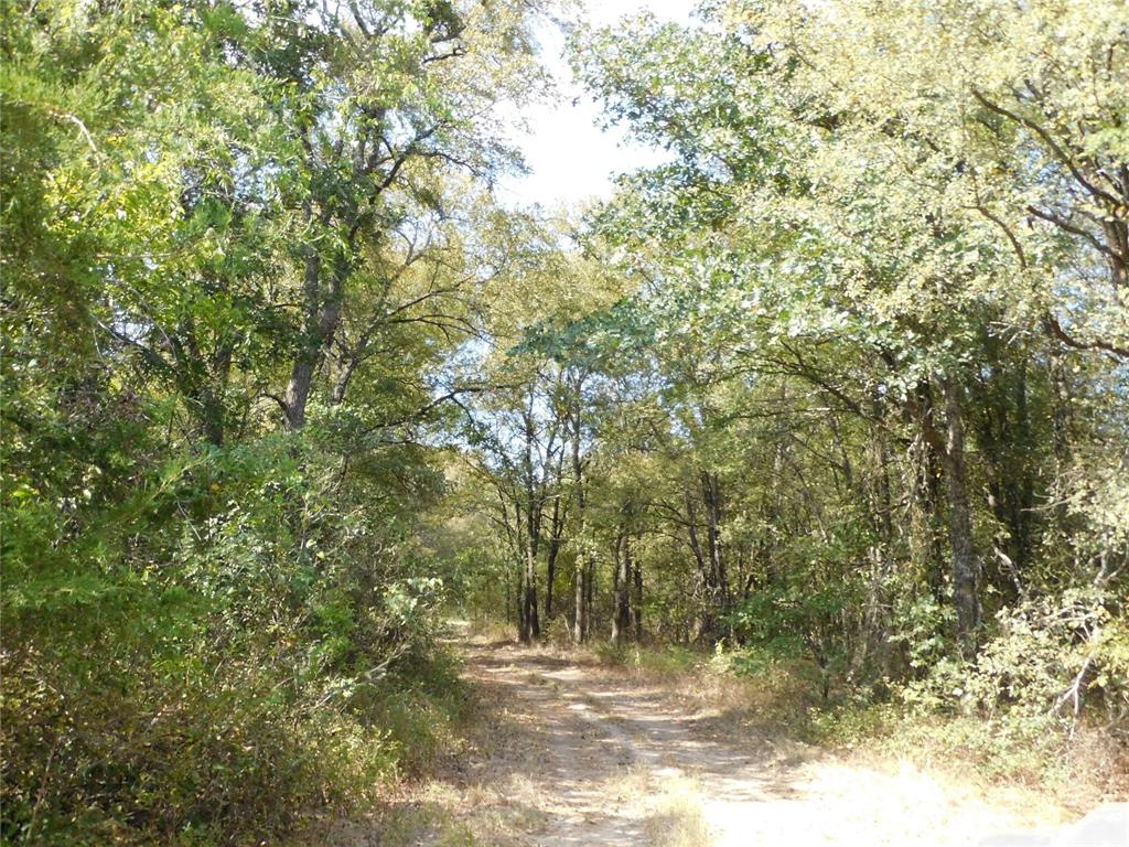 451 Hcr3335 Road Property Photo 6