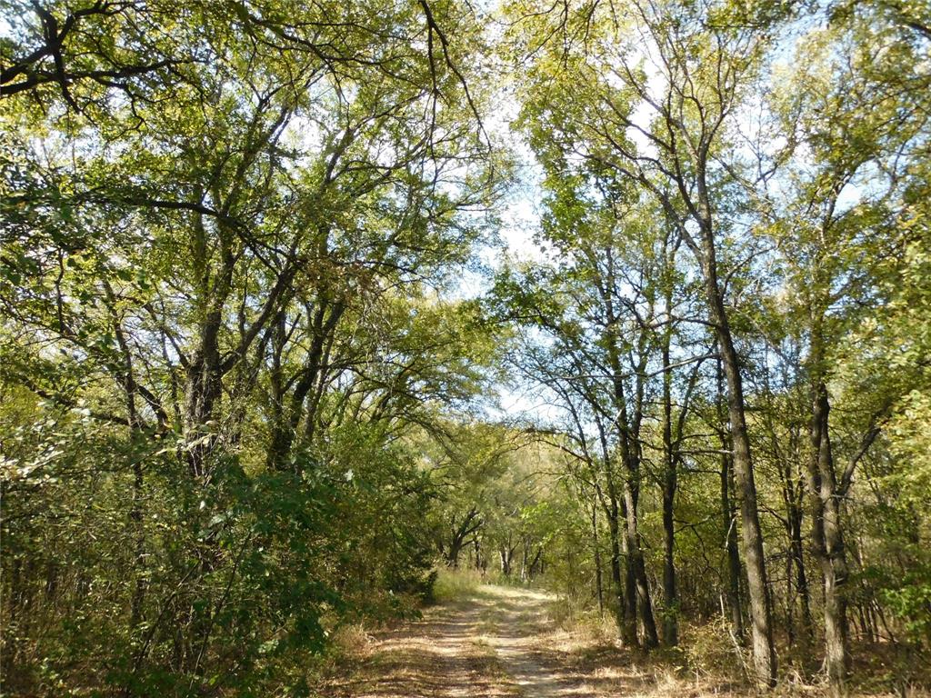 451 Hcr3335 Road Property Photo 7