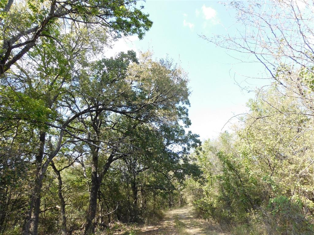 451 Hcr3335 Road Property Photo 8