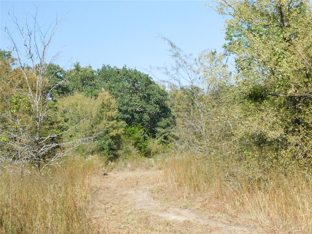 451 Hcr3335 Road Property Photo 9
