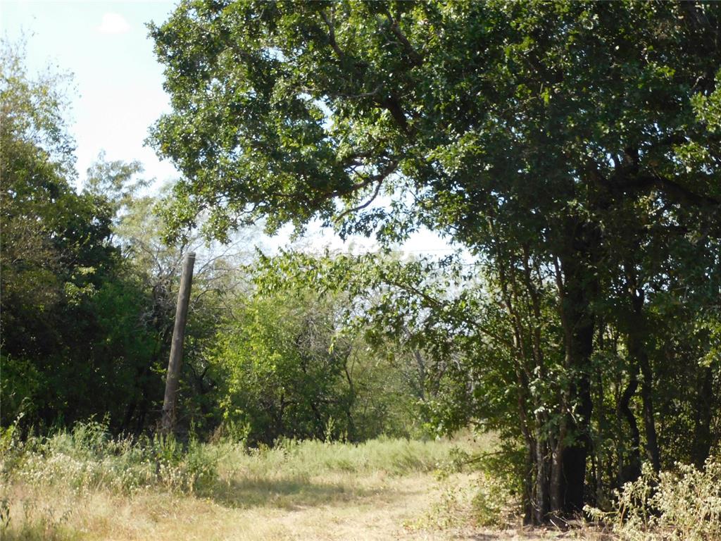451 Hcr3335 Road Property Photo 10