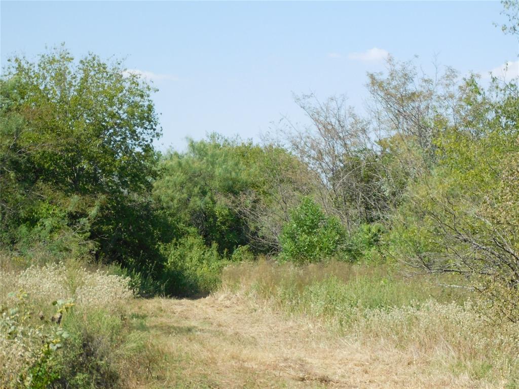 451 Hcr3335 Road Property Photo 12