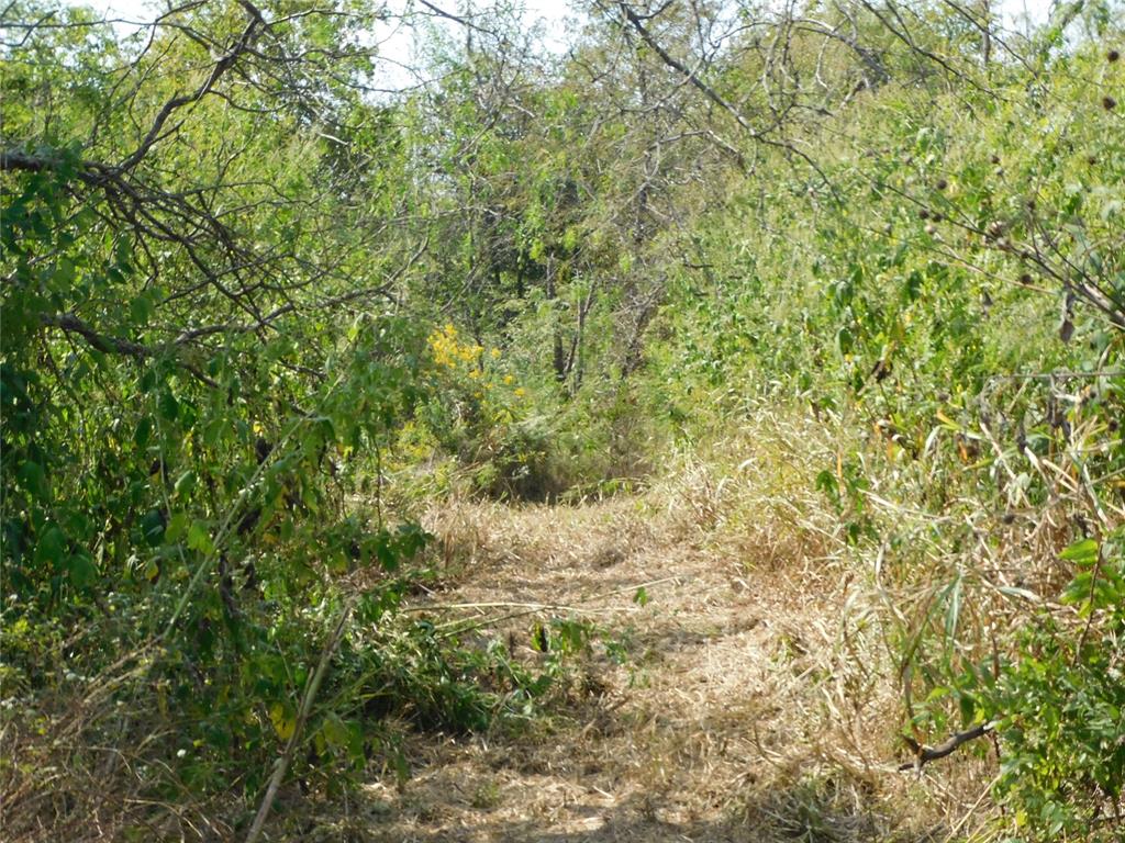 451 Hcr3335 Road Property Photo 13