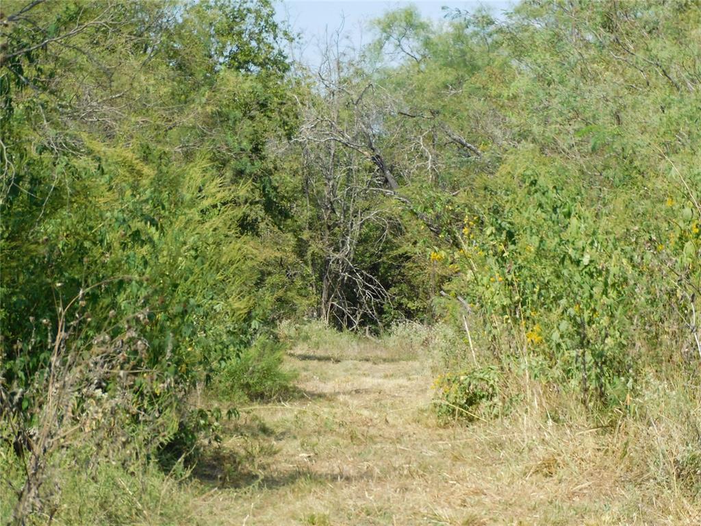 451 Hcr3335 Road Property Photo 14
