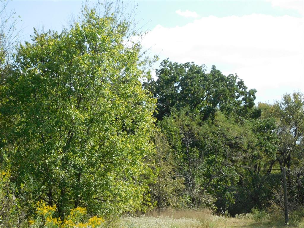451 Hcr3335 Road Property Photo 15