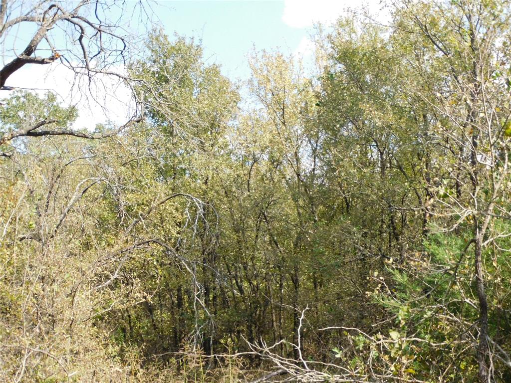 451 Hcr3335 Road Property Photo 16