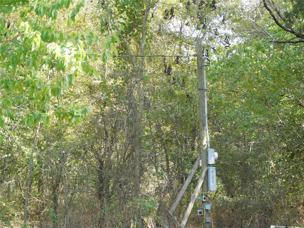 451 Hcr3335 Road Property Photo 17
