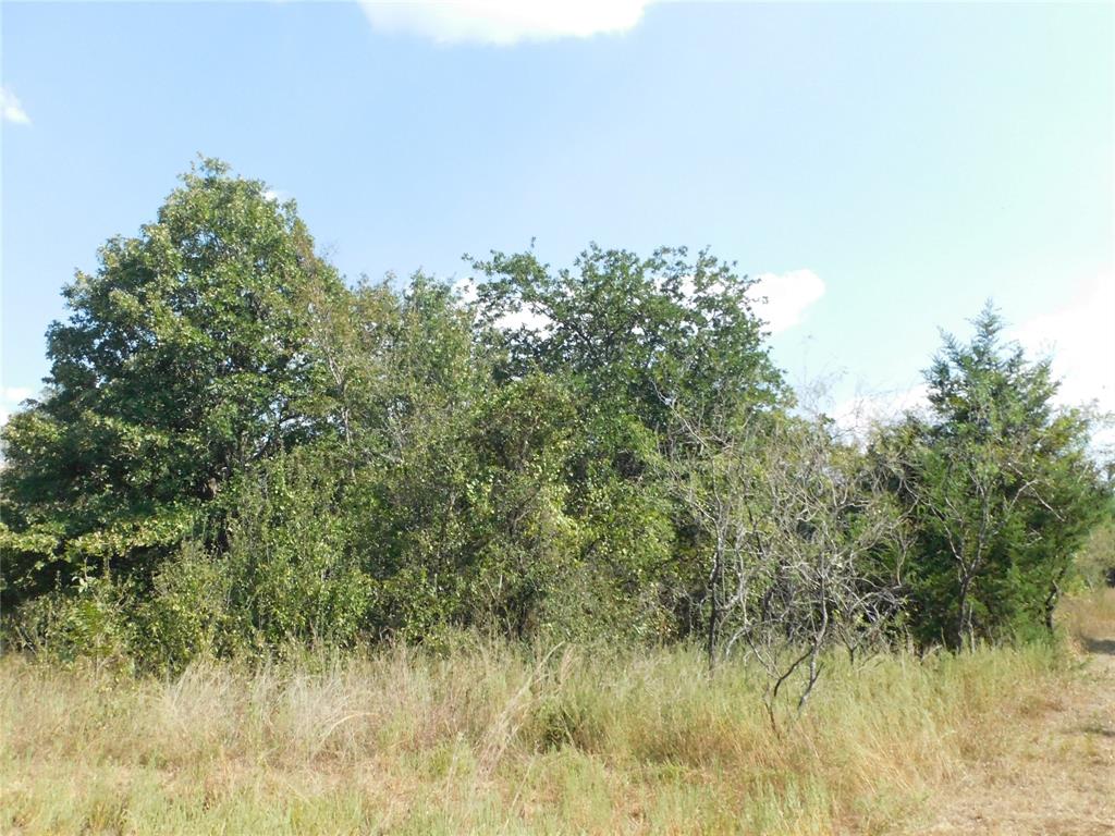 451 Hcr3335 Road Property Photo 18