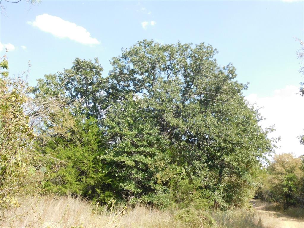 451 Hcr3335 Road Property Photo 19