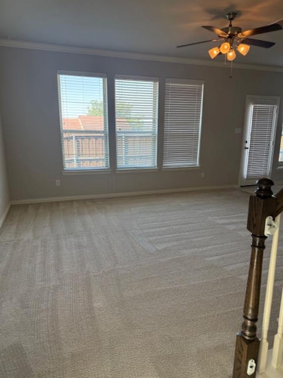 4119 Nia Drive Property Photo 4