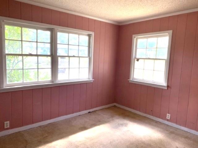 100 Thunderbird Drive Property Photo 6