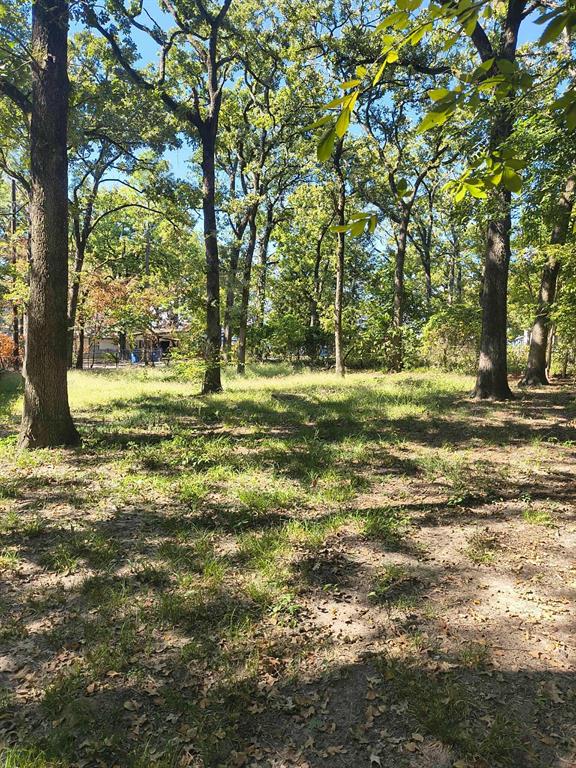 0 Tbd Harbor Drive Property Photo 1