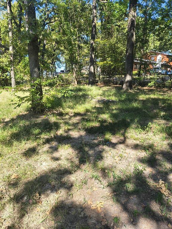 0 Tbd Harbor Drive Property Photo 4