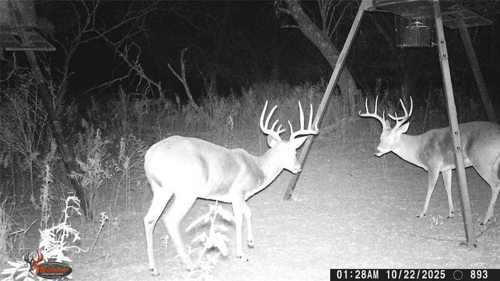 000000 Cr 267 Property Photo 1