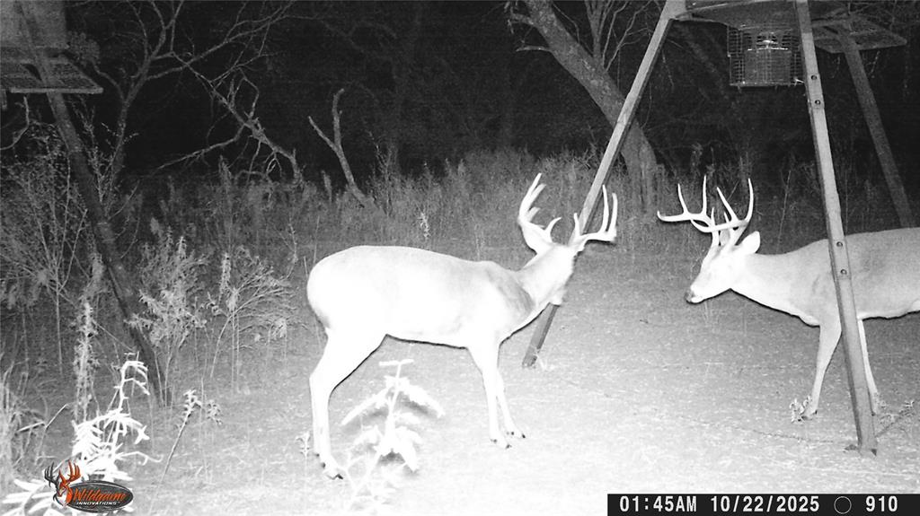 000000 Cr 267 Property Photo 7