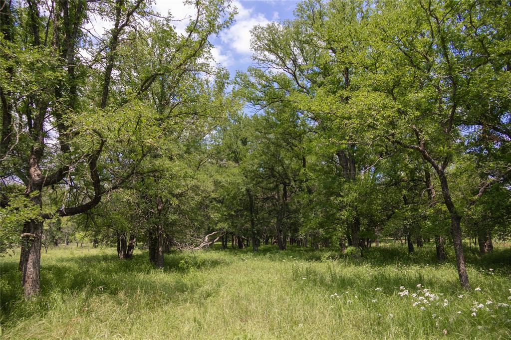 000000 Cr 267 Property Photo 24
