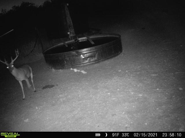 100 Cr 186 Property Photo 1