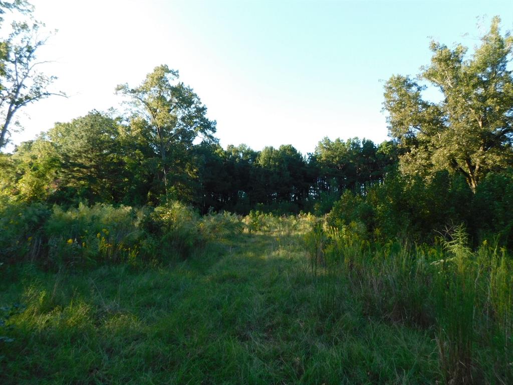 2600 Columbia 21 Road Property Photo 5