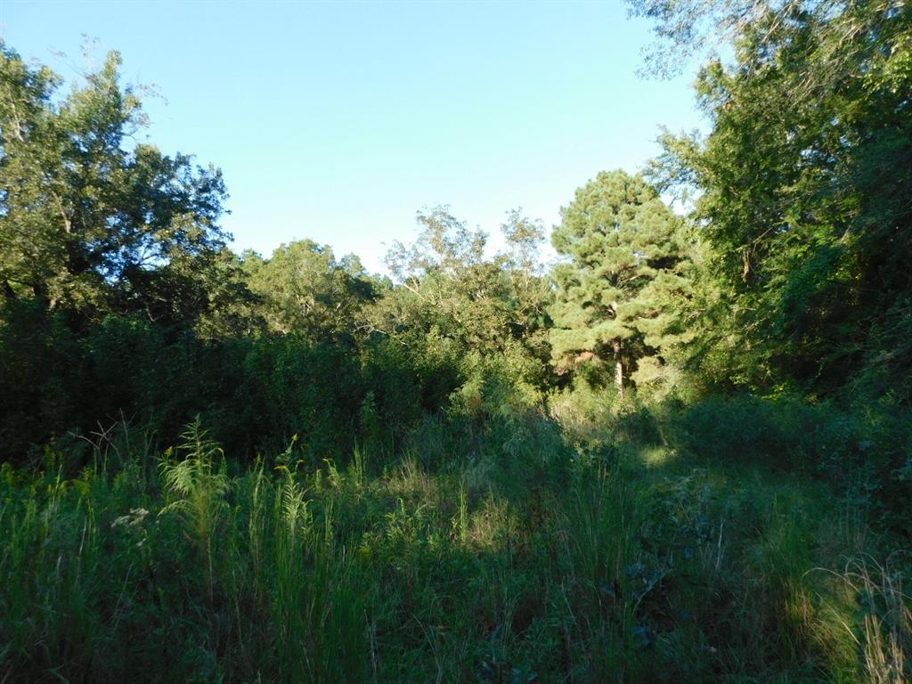 2600 Columbia 21 Road Property Photo 6