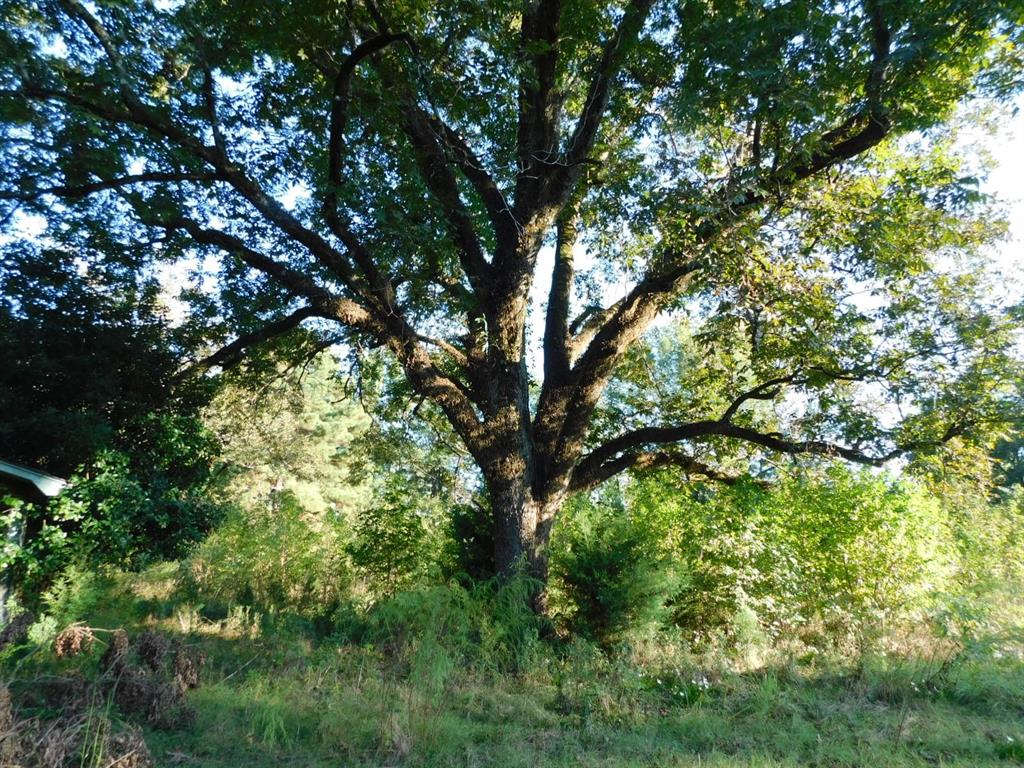 2600 Columbia 21 Road Property Photo 10
