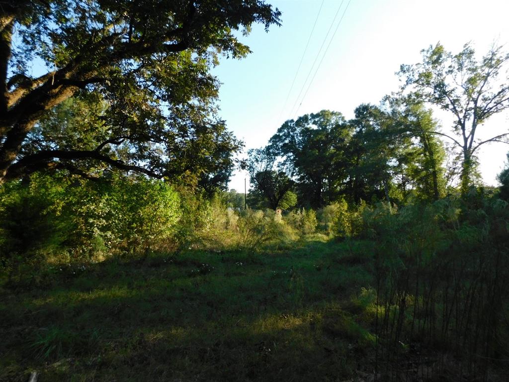 2600 Columbia 21 Road Property Photo 13