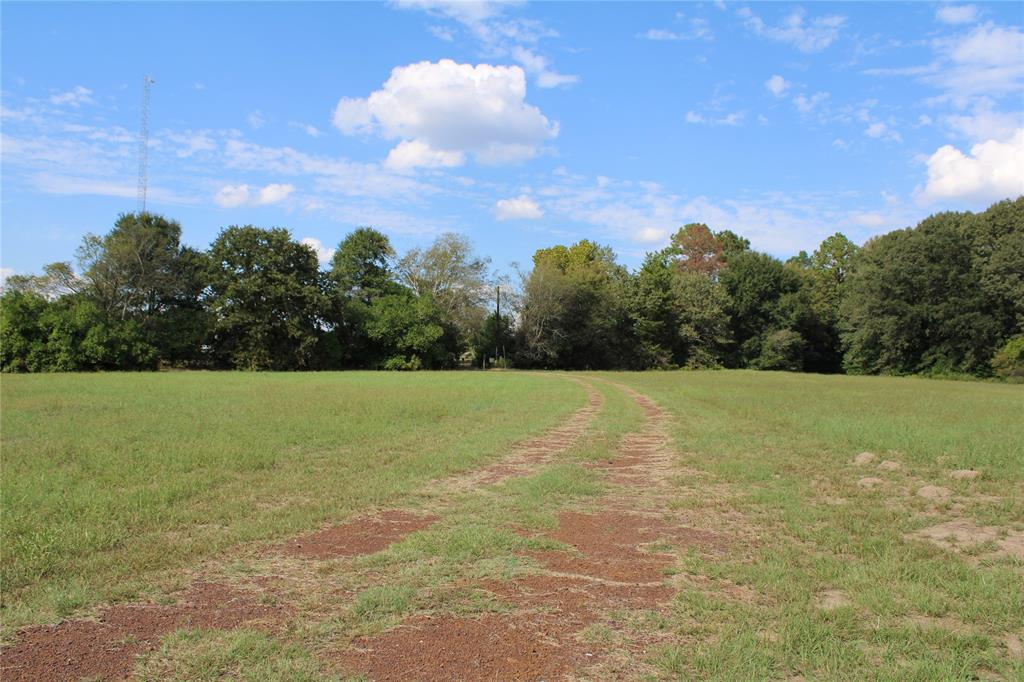 120 Fm 2064 Property Photo 39
