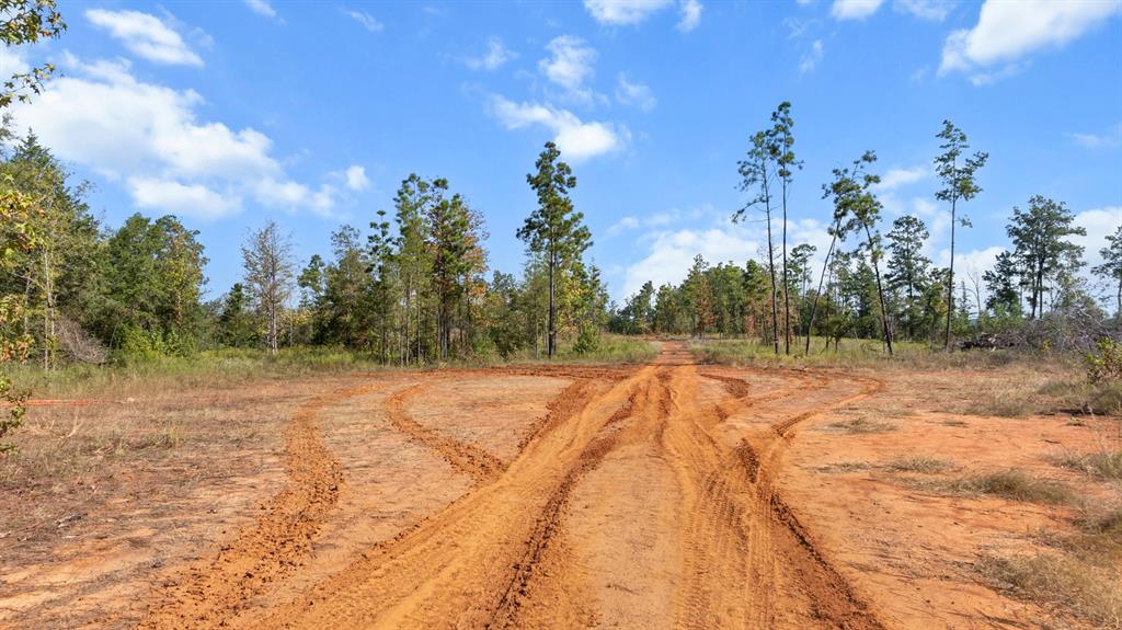 Tbd Fm 2276 Property Photo 5