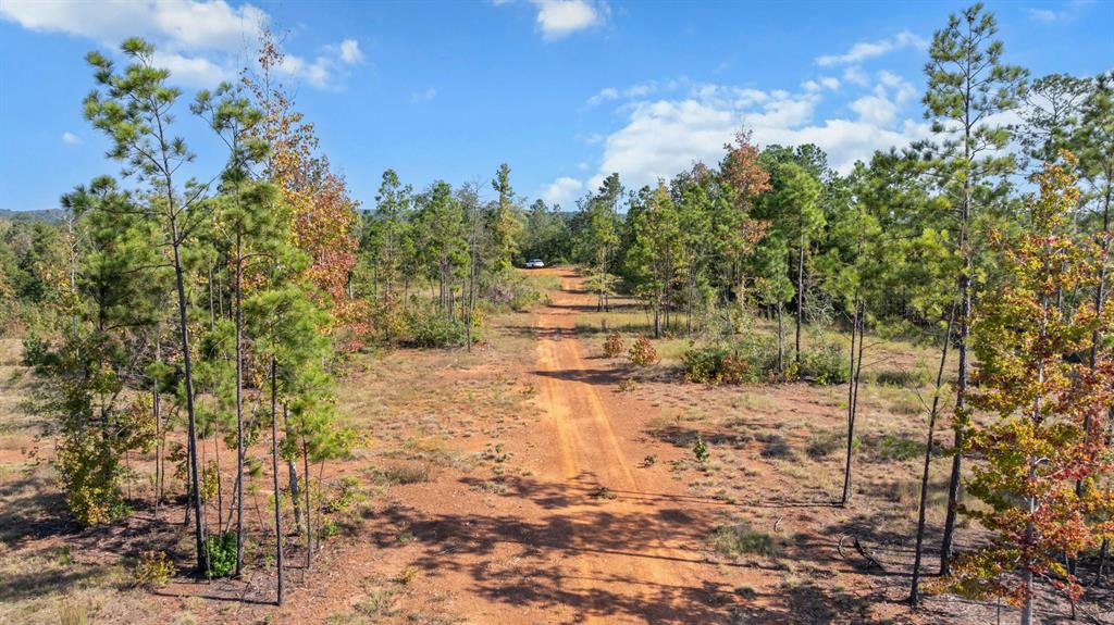 Tbd Fm 2276 Property Photo 6