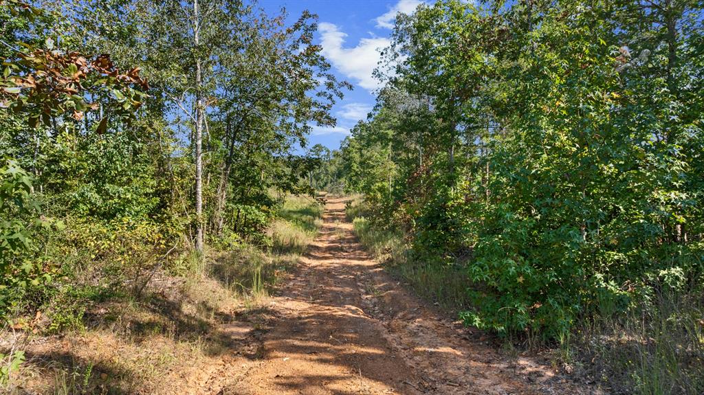 Tbd Fm 2276 Property Photo 7