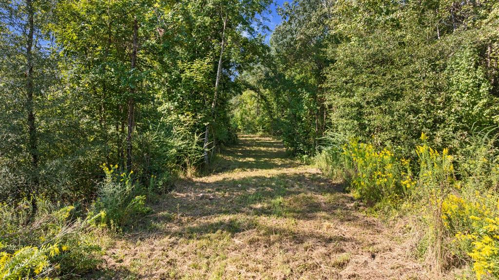 Tbd Fm 2276 Property Photo 8