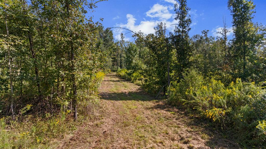 Tbd Fm 2276 Property Photo 9