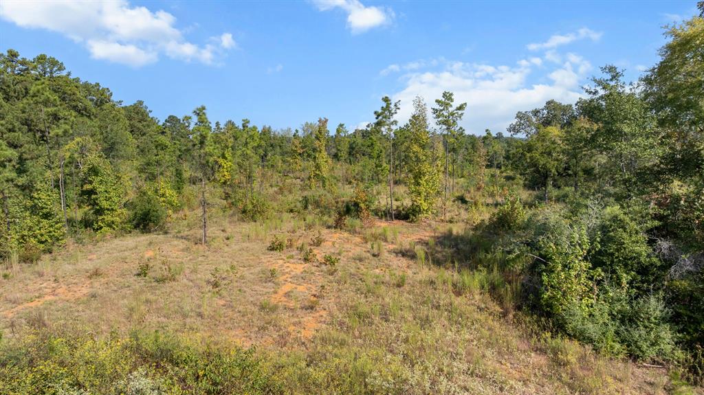 Tbd Fm 2276 Property Photo 10