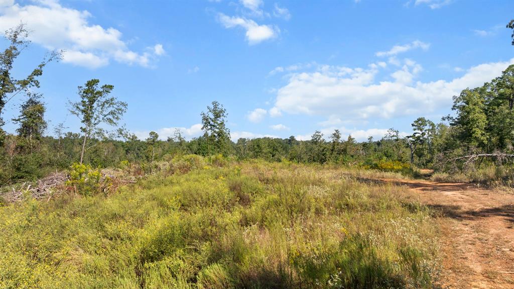 Tbd Fm 2276 Property Photo 11