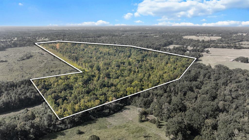 Tbd Fm 2276 Property Photo 14