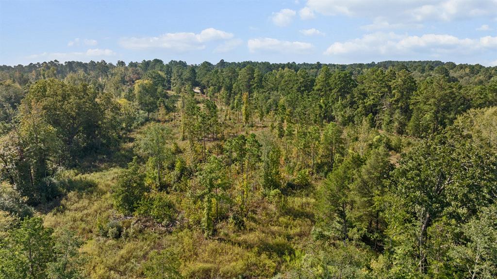 Tbd Fm 2276 Property Photo 16