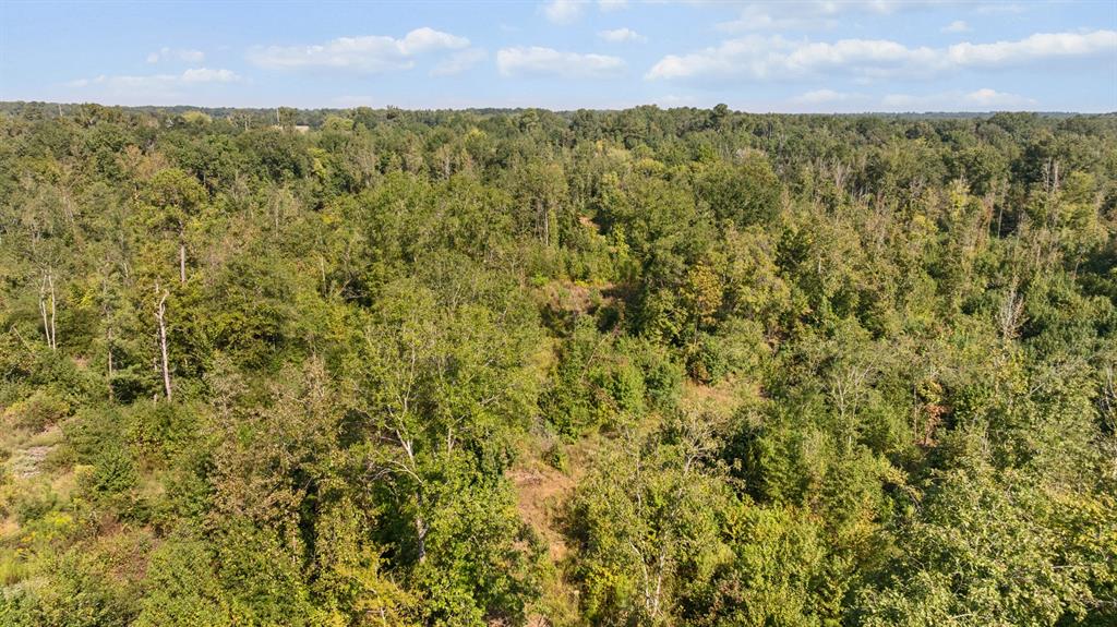 Tbd Fm 2276 Property Photo 17