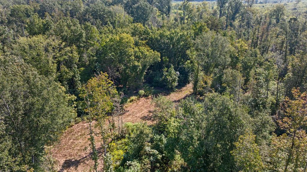 Tbd Fm 2276 Property Photo 18
