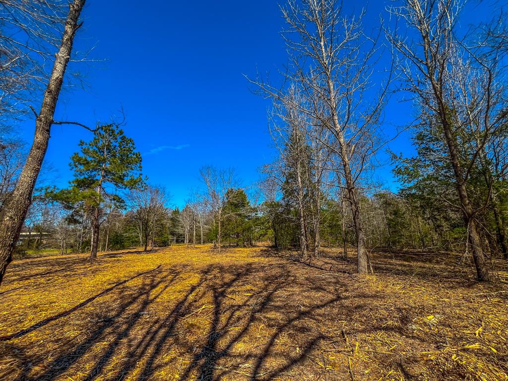 Nw County Road 1713 Property Photo 33