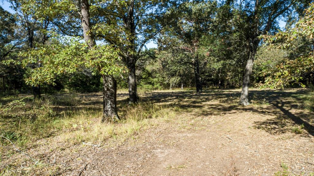 412 Rs County Road 1275 Property Photo 7