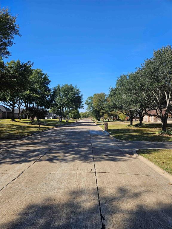 503 Pin Oak Drive Property Photo 22