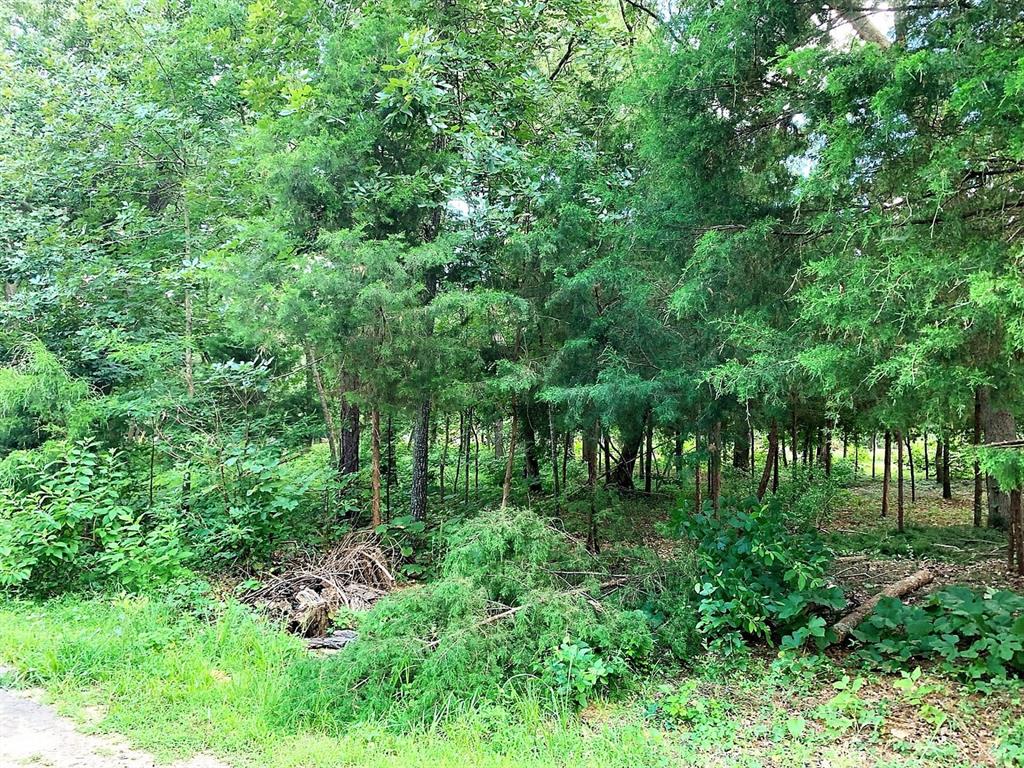 114 Barkley Road Property Photo 7