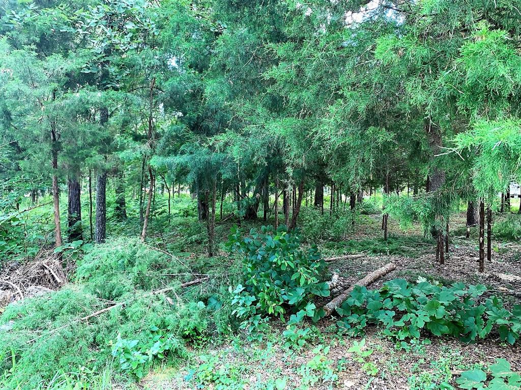 114 Barkley Road Property Photo 9