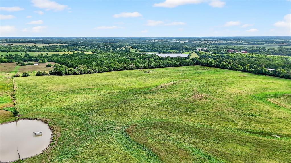 31.83 Ac Fm 981 Property Photo 4